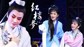 越剧宝玉哭灵曲谱_越剧红楼梦哭灵问紫鹃(4)