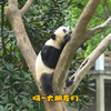 文明游园，向所有不文明行为说“NO