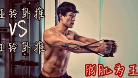 徒手练胸动作合集 1d7eba1e82147e6c87710571d4febcdabcfd4242.jpg@280w_158h_1c_100q.jpg