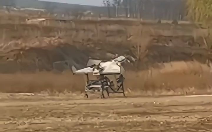 兔子版的“向日葵-200”自杀式无人机的测试视频正在社交网络上传播，其特点是几乎完全复制了俄罗斯军队使用的伊朗“天竺葵”自杀式无人机。从视频中可以看出，单架无人