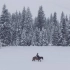 冬天的新疆可太治愈了 禾木骑马漫步森林穿越美丽峰