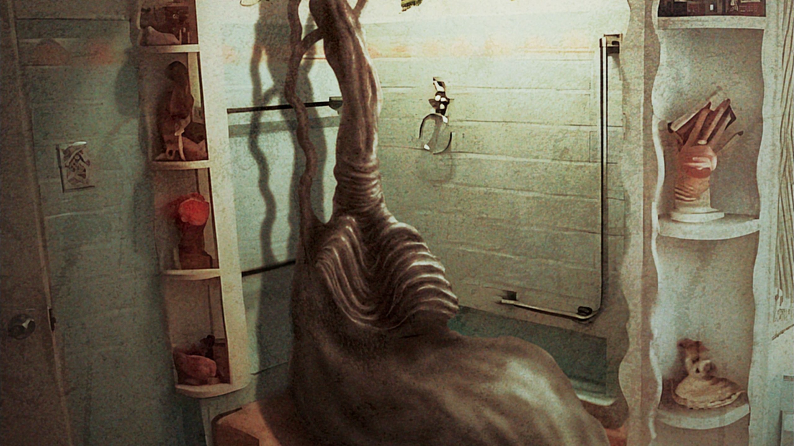 【二维病毒】房屋躯体化