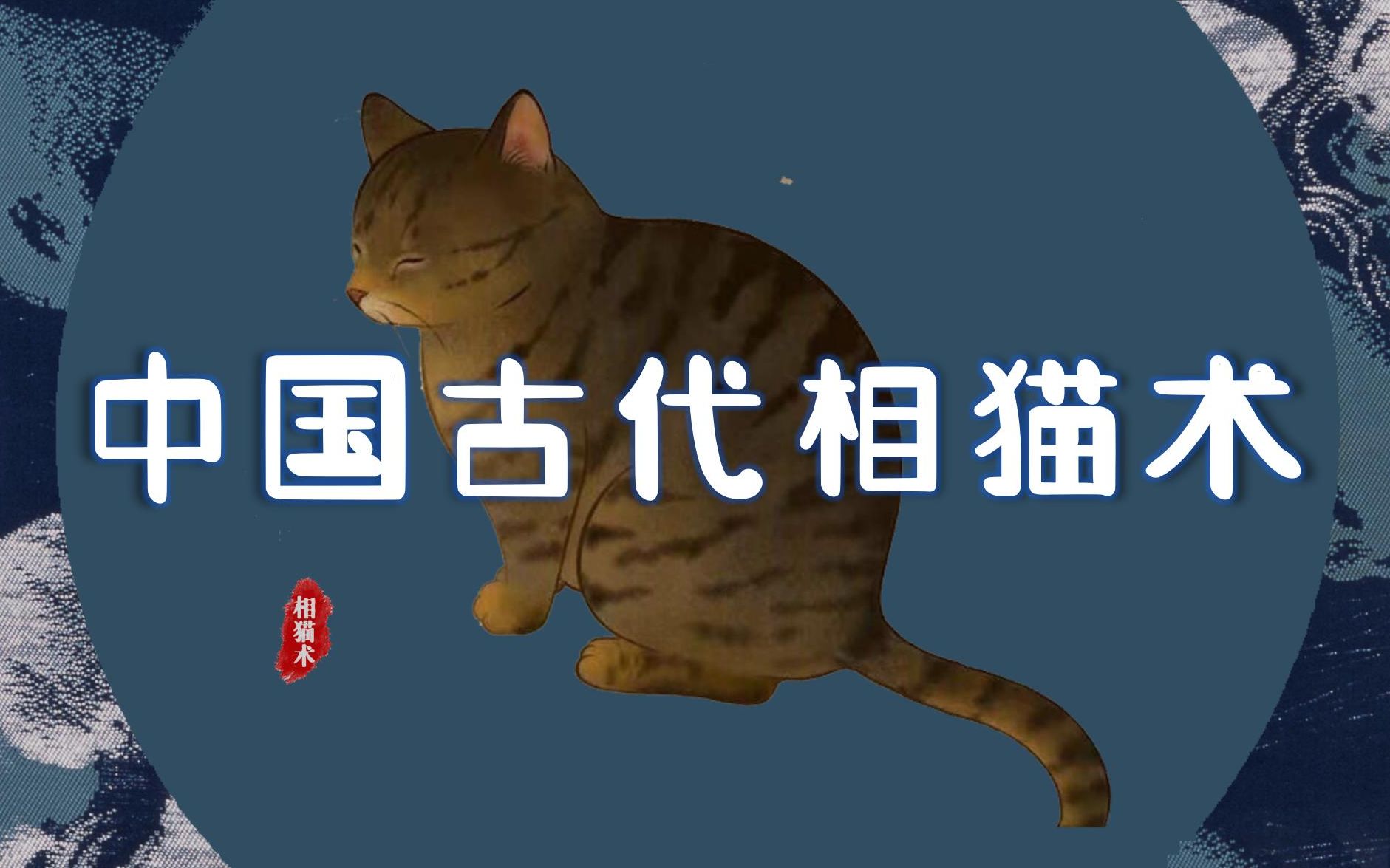 古人对猫的雅致称呼，你的猫在古代叫什么？