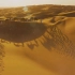 沙漠骆驼MV