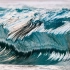 每一帧都是壁纸！玻璃海洋的通透与危险