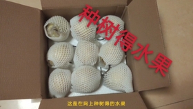 1e052b340ab9e7d745e7facb9d539e5886e46af9.jpg@280w_158h_1c_100q.jpg