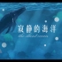 【公益动画短片】寂静的海洋