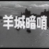 【惊悚/悬疑】羊城暗哨 1957年【CCTV6高清1080p】