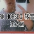 《dark horse》转音挑战