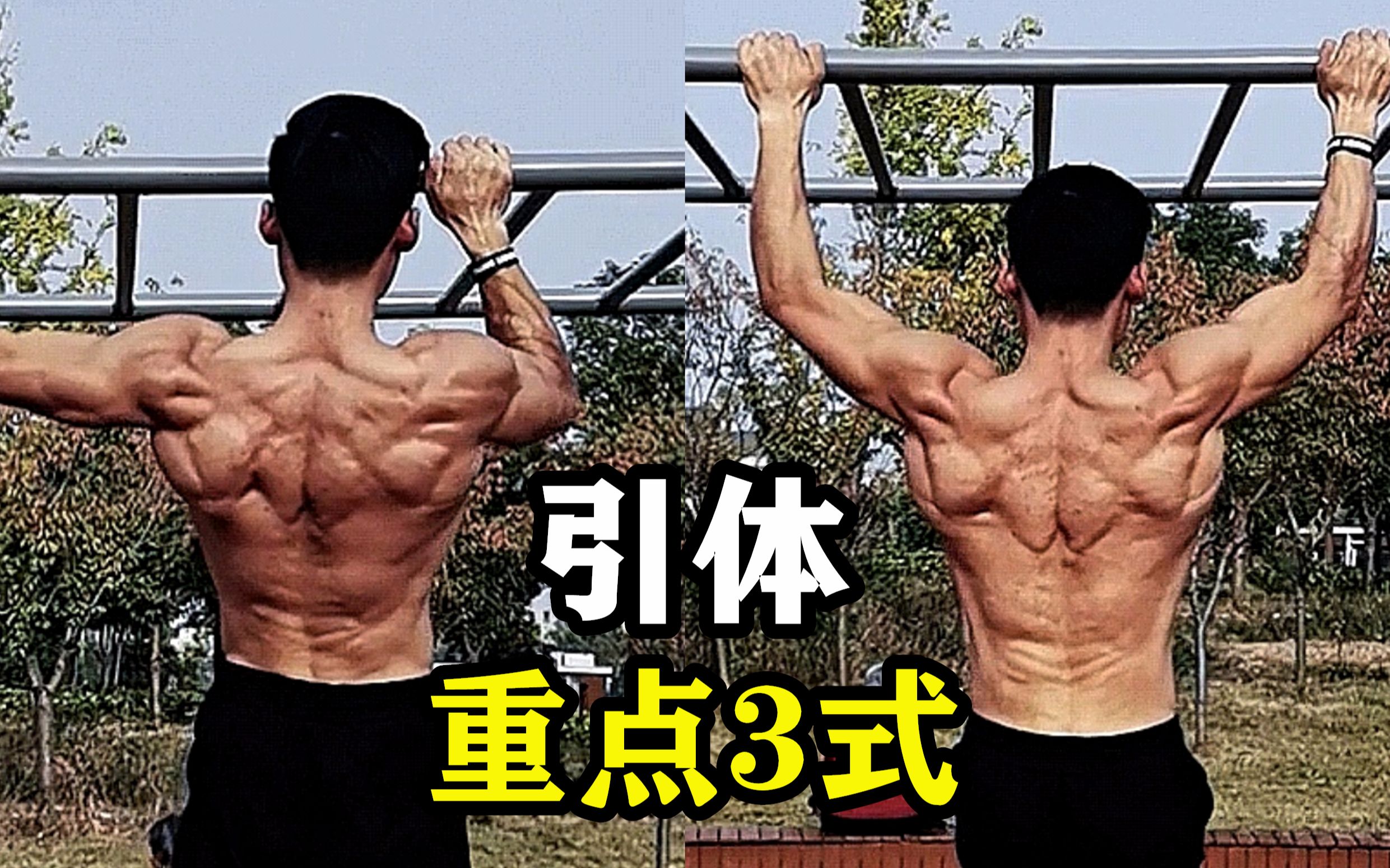 入门街健【引体向上】这3种变式就够了