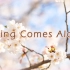 【Mifloat】Spring Comes Along【Alstroemeria Records】