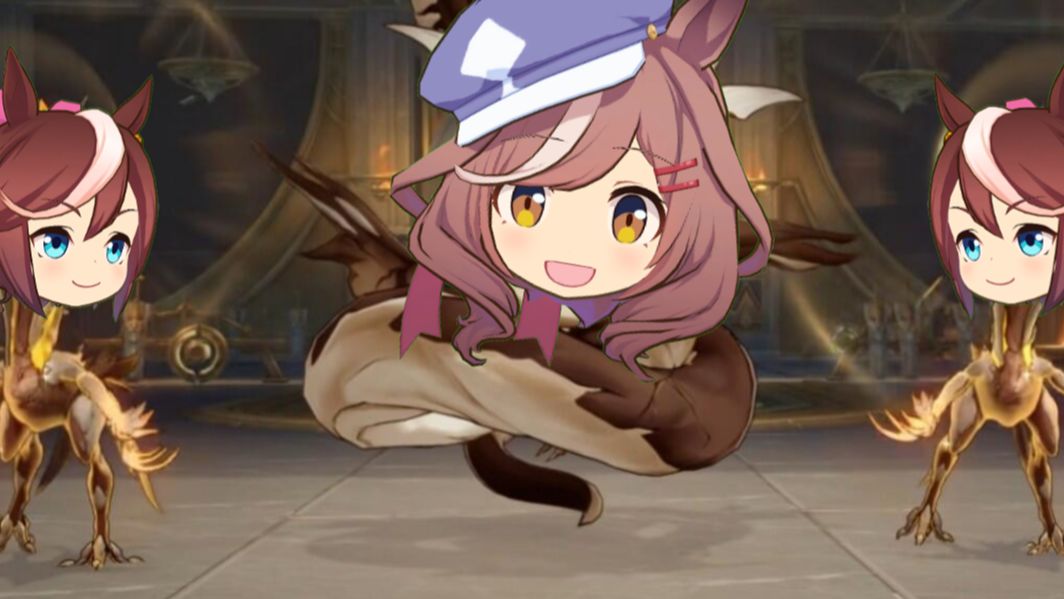 哈基米：🐱金耄忆灵🐱