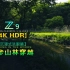 [4K HDR] 什么是传说中的“日本绿”？第一人称漫步日本神户春季山林 | 打开HDR洗眼睛吧 B站说大会员花不了几个