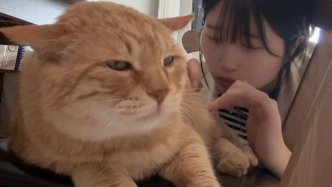人类真没用