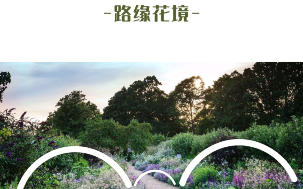 花境类型——按照设计场景分类（1）路缘花境、林缘花境