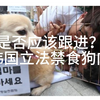 是否应该跟进？韩国立法禁食狗肉