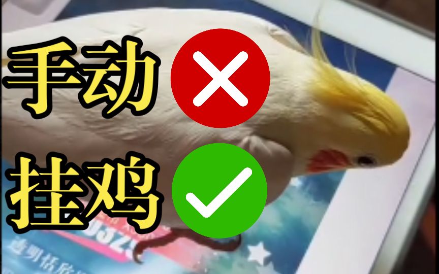 活动作品释放双手挂鸡日常的梦想