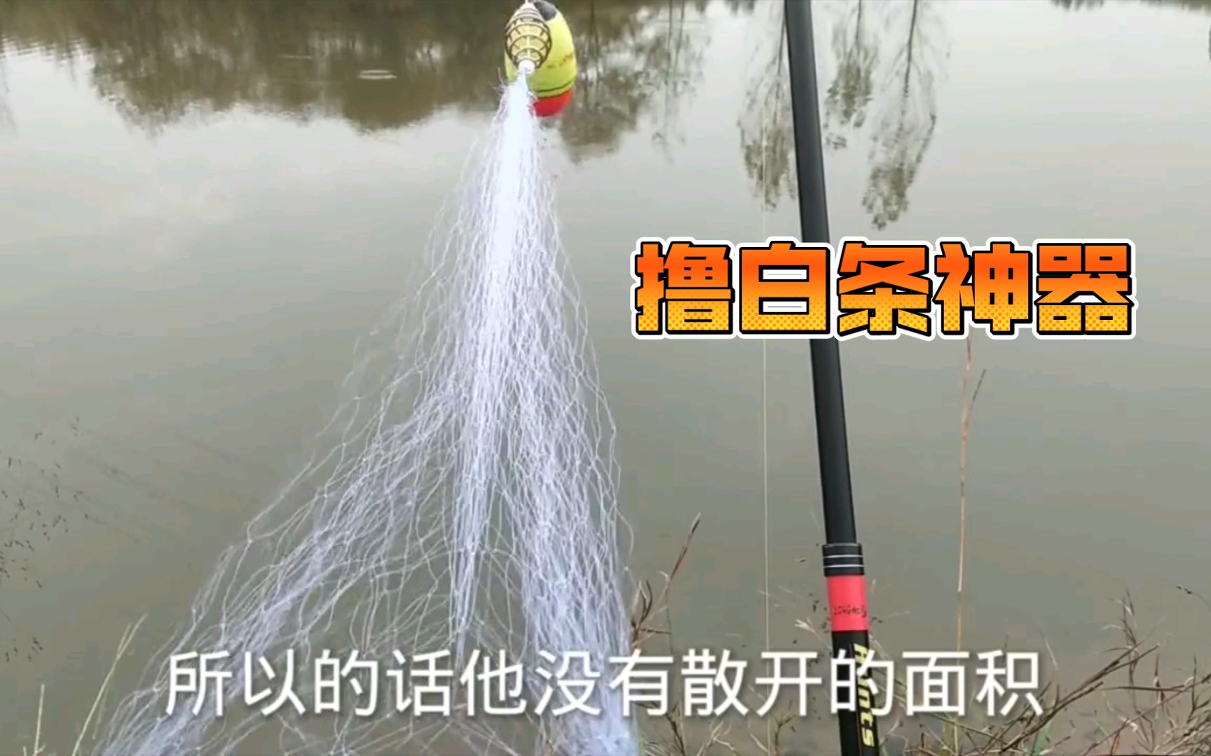 白条的克星：霸王捆，钓鱼网红真有这么厉害？测试结果让人睁不开眼！