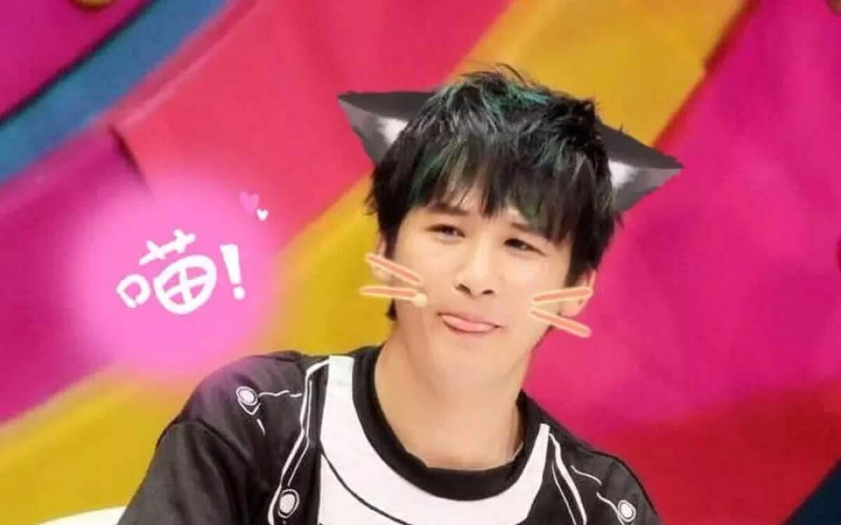 大张伟毒鸡汤系列