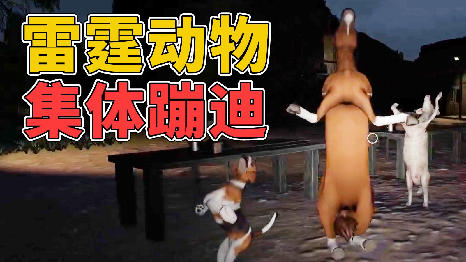 雷霆动物集体蹦迪！轮椅老头鬼火漂移！