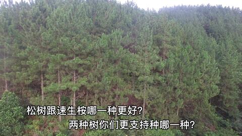 1eff7c207c8b60cc18cf2fb9b01d87f5e43e75f6.jpg@480w_270h_1c