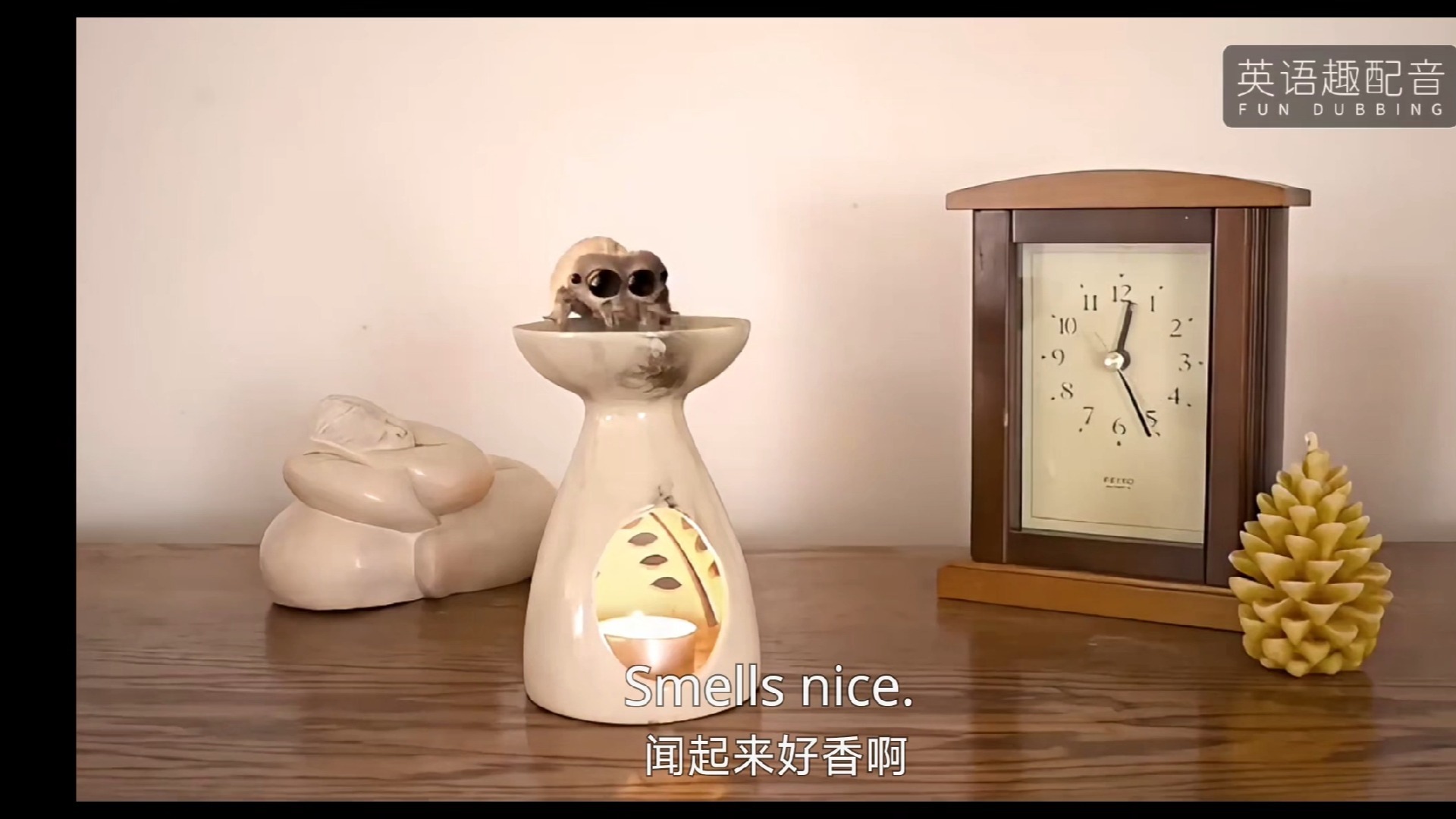 练口语，但是11岁的我一句现在的我一句