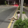 无不良引导