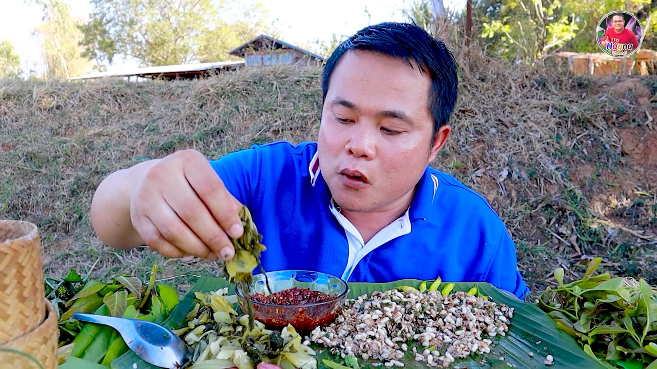 泰国嗯哼哥吃播 今天又来吃拌白蚁卵啦 还有酸菜，辣椒酱 糯米饭 和绿叶菜
