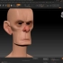 Turning Static Head Models into Fully-Animated 3D Characters
