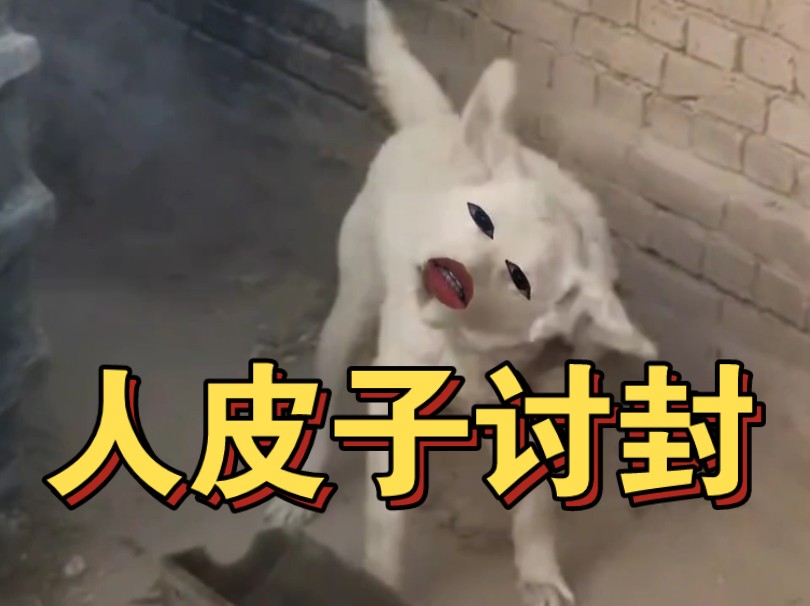 狗:滚