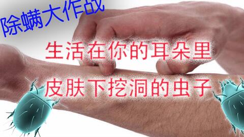 1f72baa003c79a36724071f9e385d2da80439057.jpg@480w_270h_1c