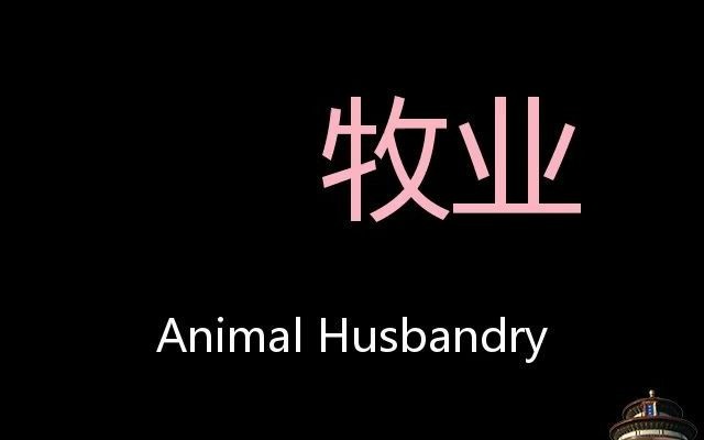 牧业 Chinese Pronunciation Animal husbandry哔哩哔哩bilibili