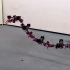 中国留学生研发龙形机器人，能在空中盘旋飞行，如飞龙在天