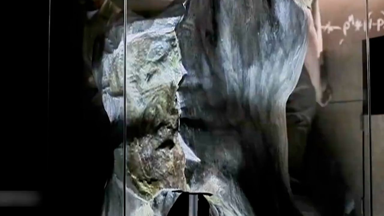 从没见过这么大的牙齿，不仅有一米长，而且比大叔还要粗《表面之下》