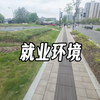 就以现在的就业环境，我们00后到底能干什么