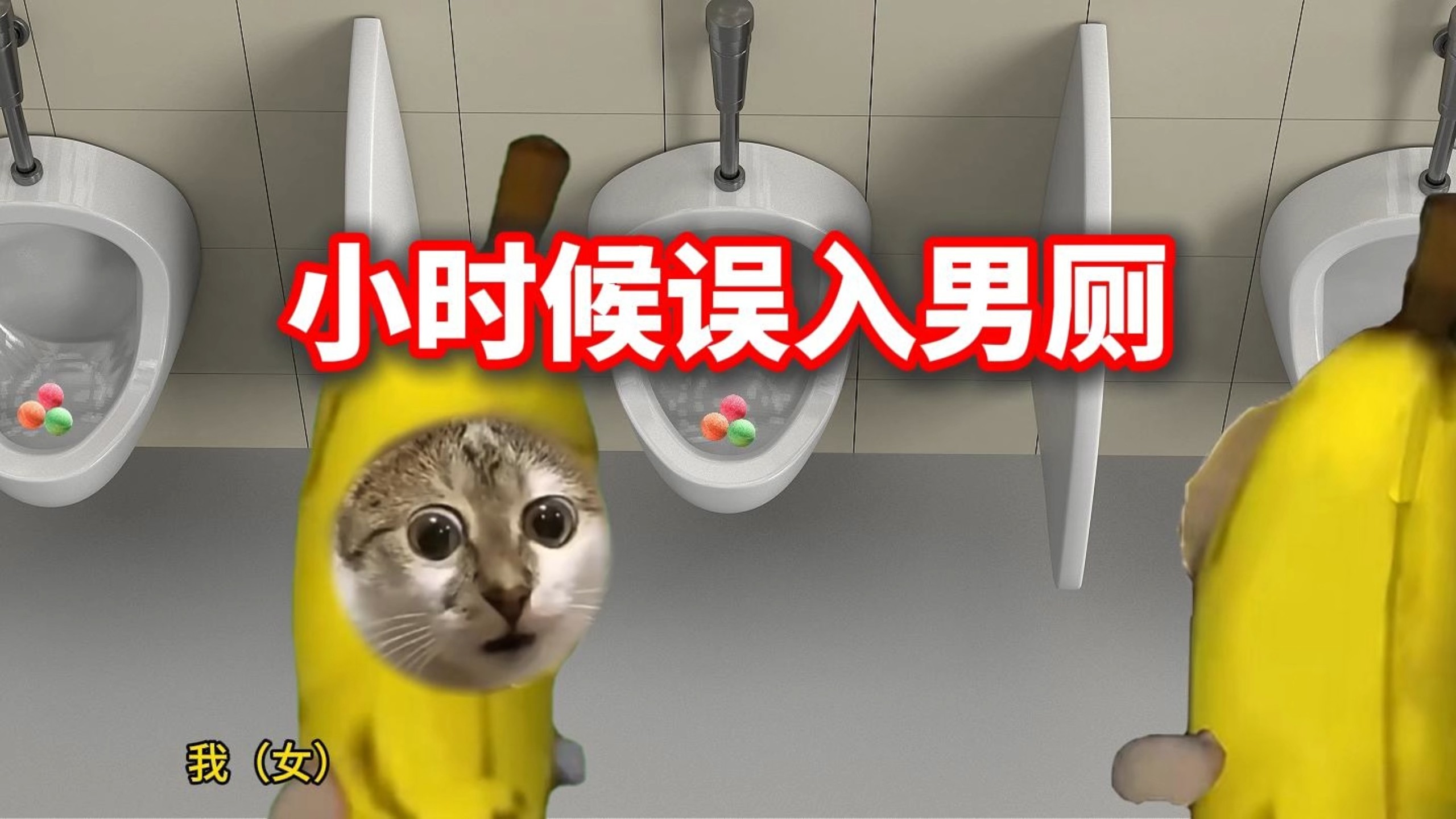 好多毛毛虫