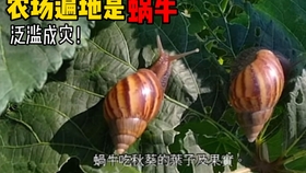 1fd7f3eba6bf1fb94eaf4f0e9c60836ec4845444.jpg@280w_158h_1c_100q.jpg