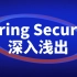 java基础进阶-企业开发首选的安全框架Spring Security深入浅出