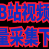 bilibili视频下载到本地,bilibili视频下载器
