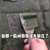 旱厕蹲坑新发现
