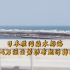 日本核污染水排海 韩国4万渔业劳动者起诉韩政府
