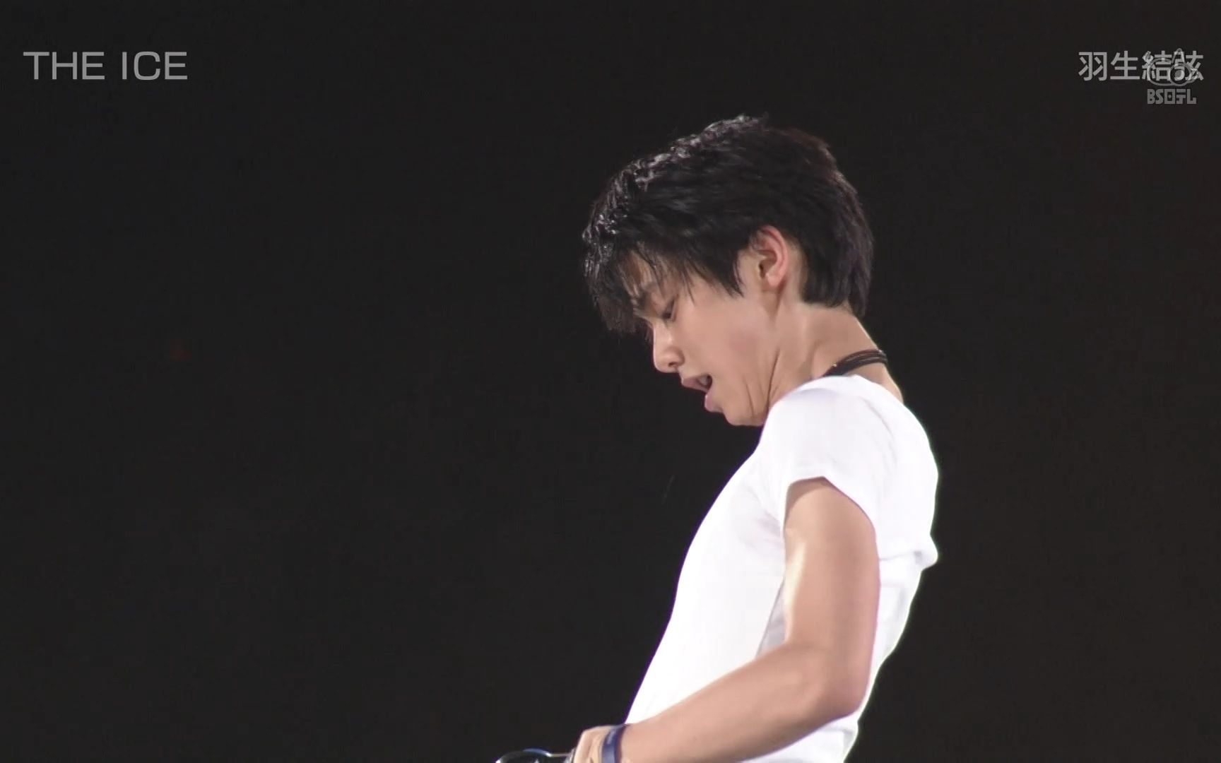 羽生结弦】The Ice 2012 爱知公演合集(1080P)