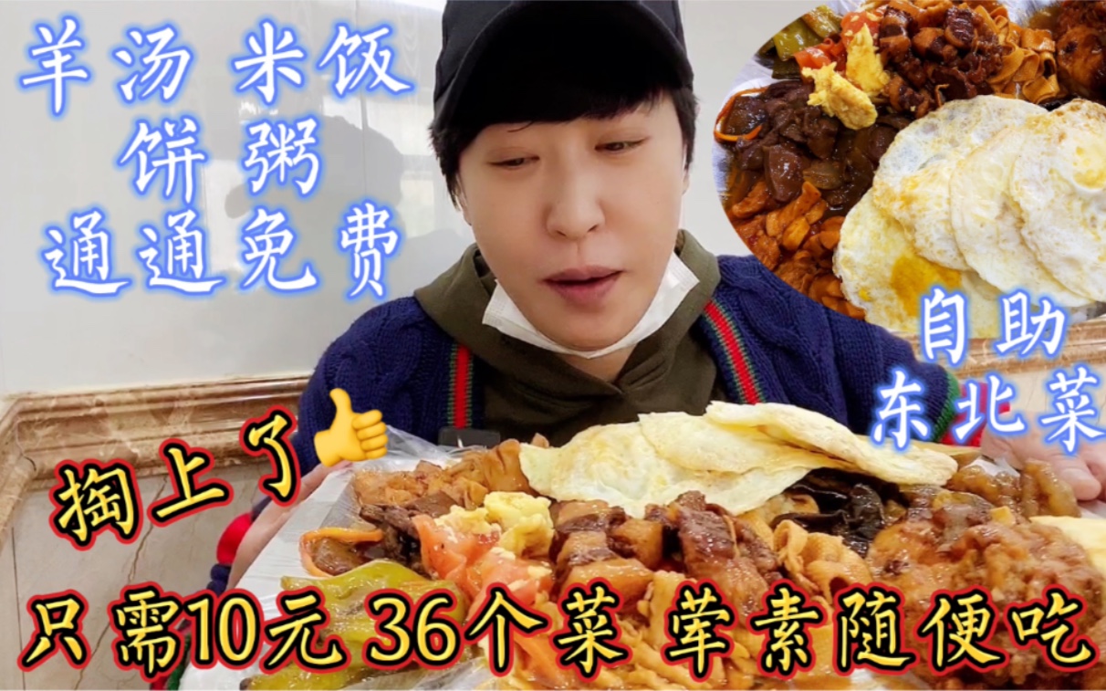 哈尔滨10元自助盒饭，36个东北菜，荤素随便吃，主食免费，爽
