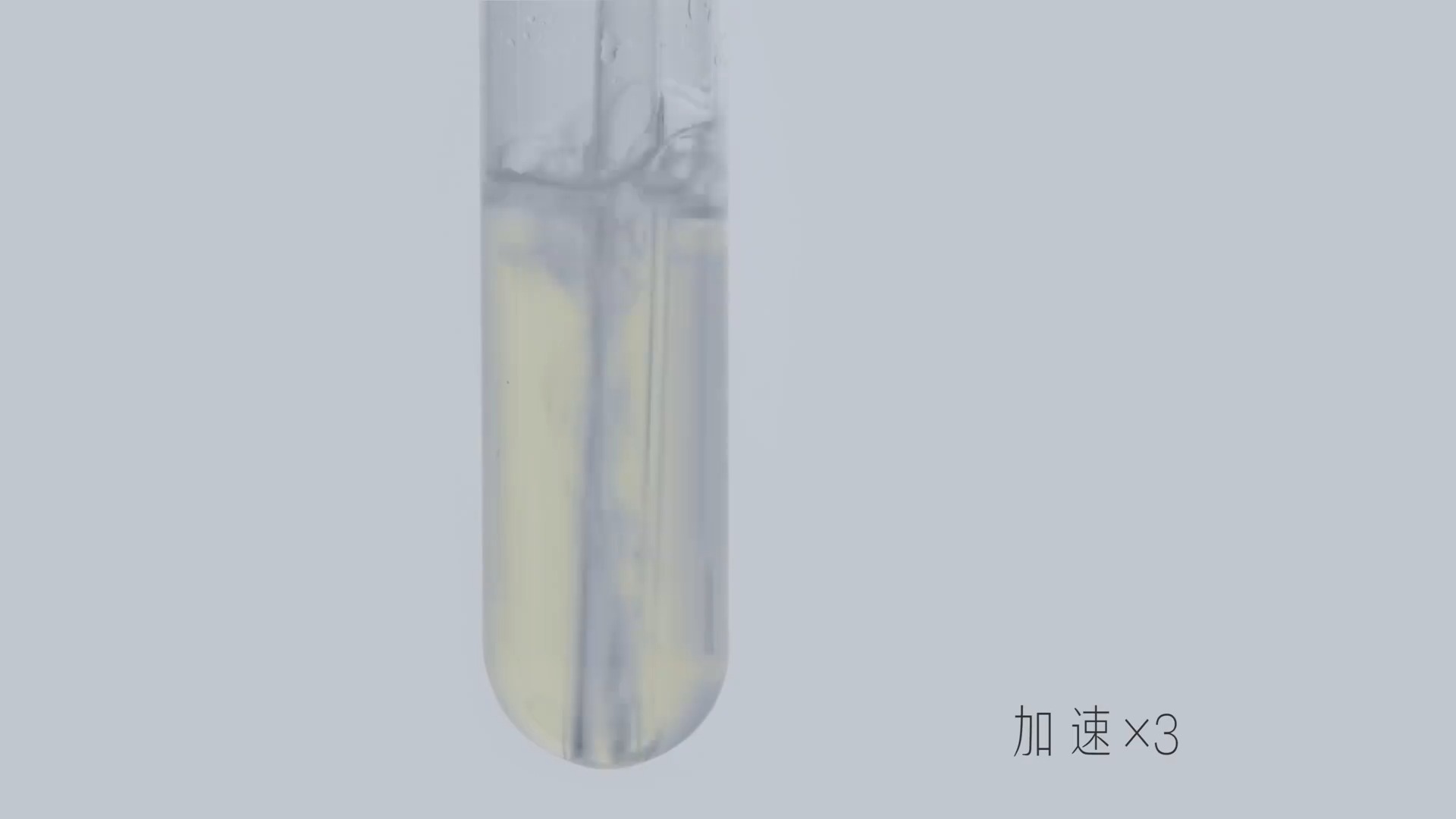 高中化学实验31：硫化氢与二氧化硫反应