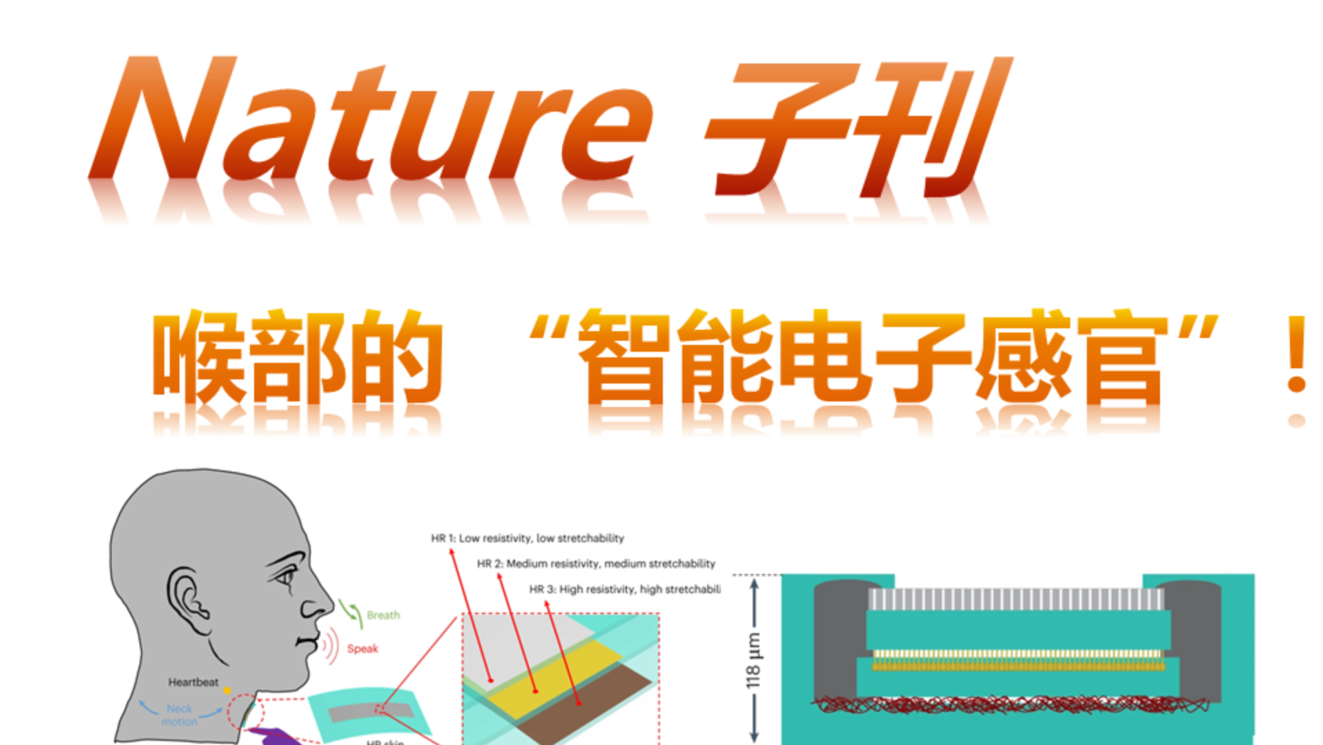 【传感器】可穿戴生物传感器（张豪）260805