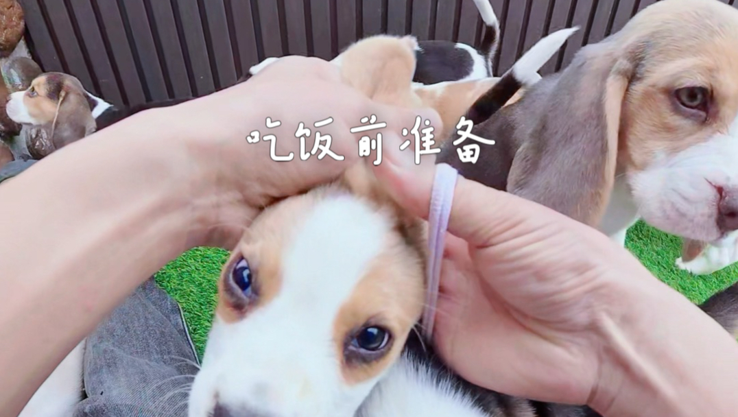 吃饭前准备
