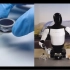 特斯拉机器人与波士顿动力机器人