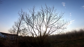 大疆怎么练习穿越机 208de16e4fbd7d722ba997b7548d958ba90c14f6.jpg@280w_158h_1c_100q.jpg