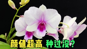 2090a6d9605c69a056c2ac33aec8e86069aae0f1.jpg@280w_158h_1c_100q.jpg