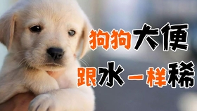 2094ebe37fb897bd3a8929e41356211f89faf804.jpg@280w_158h_1c_100q.jpg